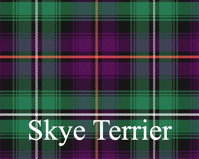 Skye Terrier swatch
