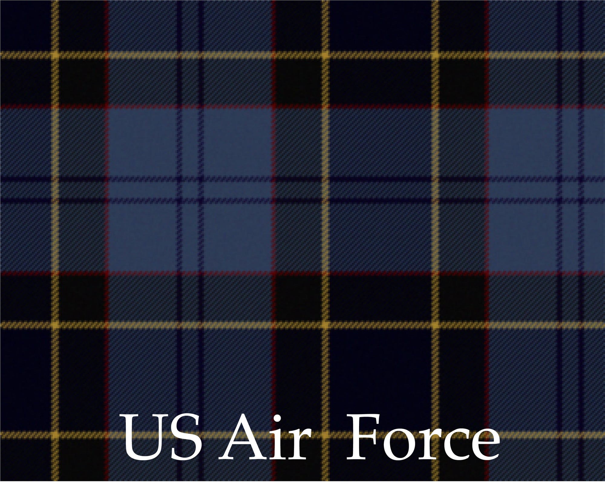 Custom Tartan and Leather Shoe Bag